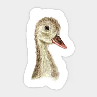 little smiling duck Sticker